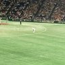 きなもん🐯 的头像
