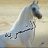 Profilbild von الشمريه