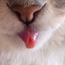 emm027's profile picture