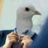 雲外蒼天 profil fotoğrafı