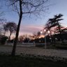 Sena Nur profil fotoğrafı
