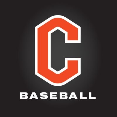 GoCamelsBSB's profile picture