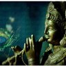 krishna13 的头像