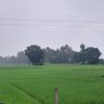 Фото профиля Zeevan Chakra