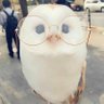 でるた profil fotoğrafı