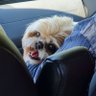 MathisG's profile picture