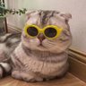 makww profil fotoğrafı