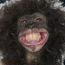 homosapien's profile picture