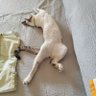 Miguel78 profil fotoğrafı
