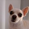 Jose Antonio Roman Montaño's profile picture