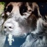 carolina girl south's profile picture
