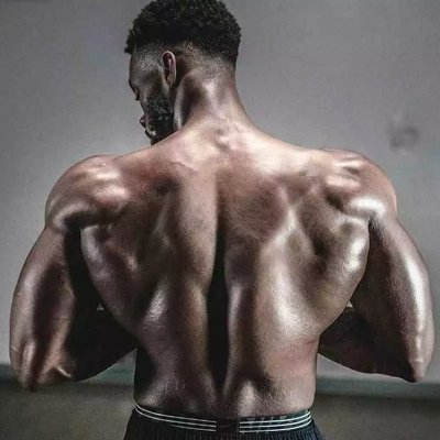 Señor Músculo | Musculación's profile picture