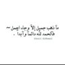 أبو لينا's profile picture