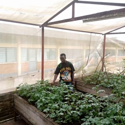Agronommejean's profile picture