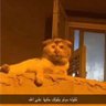 فهد الخريجي profil fotoğrafı