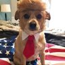 Deplorable Garbage 的头像