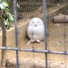 辛口 的头像