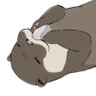 Profilbild von やや