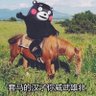 douqi zeng 的头像