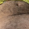 Фото профиля bear 😈😈🔞