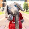Big AL 🐘 profil fotoğrafı
