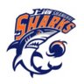 Shanghia Sharks's profile picture