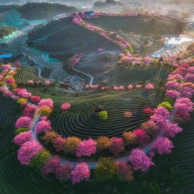 ✈️TRAVEL VIETNAMESE ❤🏖🌍's profile picture