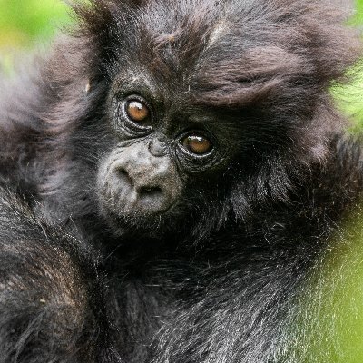 Kwitaizina's profile picture