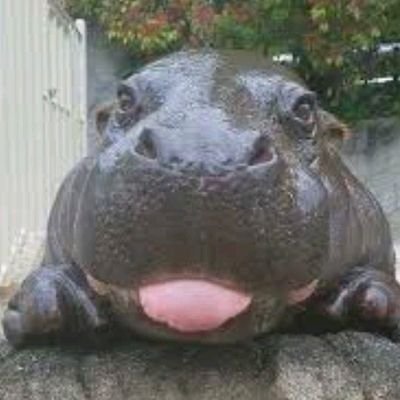 BaloSuspeito13's profile picture