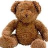 Furtle Billberry's profile picture