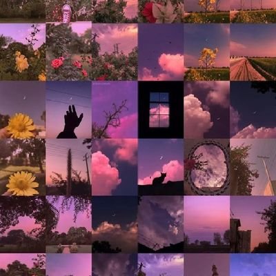 Alice Ngaipilhing's profile picture