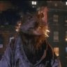 Splinter 的头像