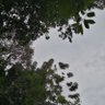 Фото профиля jooee