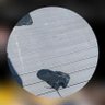 AskofHim's profile picture