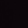 Profilbild von Armand Borja