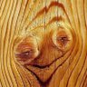 Sam Gi's profile picture