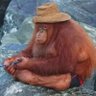 Profilbild von rets