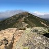 White Mountain Walker's profile picture