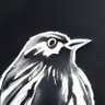 Core S.'s profile picture