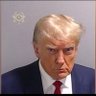 Hollywood Republicans 的头像