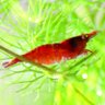 AquaticMagic 的头像