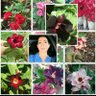 Фото профиля Rosalind.