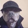 Serped's profile picture