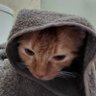Dark Stare's profile picture