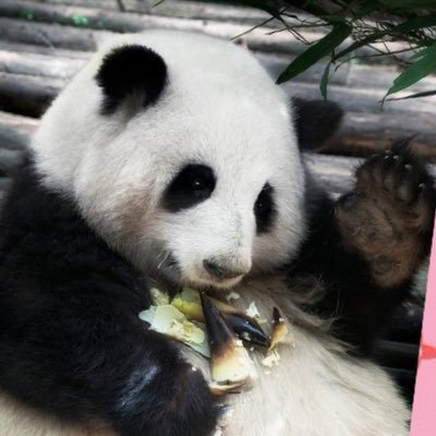eris521's profile picture