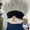 Profilbild von Catoru Gojo