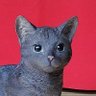𝕏はるにひかる𝕏 profil fotoğrafı
