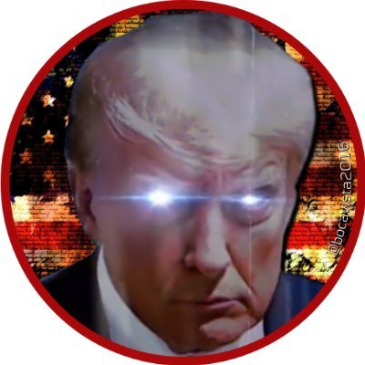 bocavista2016's profile picture