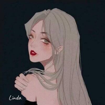 流浪猫猫's profile picture