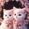 The Most Beautiful Things❤️'s profile picture